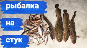 забыли шуруповёрт дома, но рыбалку никто не отменял. НАЛИМ НА СТУК по последнему льду