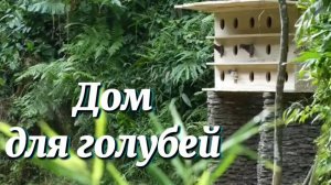 Построили новый дом для голубей