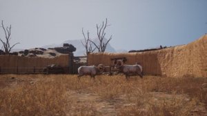 Ram Fights — официальный трейлер