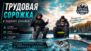 😲 Не по плану! Подлёдная рыбалка на Дунайке: Трудовая сорожка вместо подлещика + подводная камера