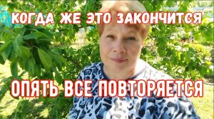 252🏡Работоспособность с утра/Ёжики на новом месте/Шашлыки