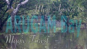 Шри-Ланка 🇱🇰 Sri Lanka. Аругам Бей 🌴 Magic Forest 🌳