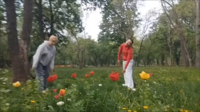 Баланс 4-х Стихий на природе в Кропивницком Оксана Русина