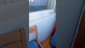 Моё раннее утро 🫠