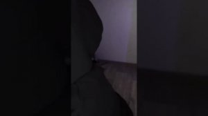 Школа солнца и вампиров