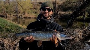 Рыбалка с «гидом» на малой реке. Атака щупакабр. Первый бонус сезона.