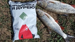Весенняя рыбалка в Мае!