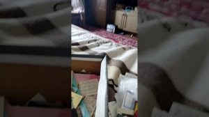 воспоминания