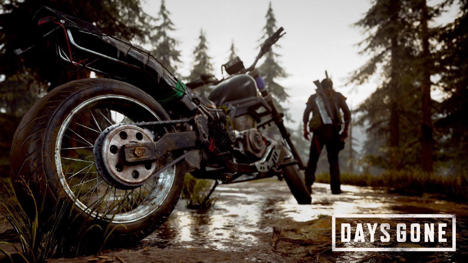 Days Gone Часть 2