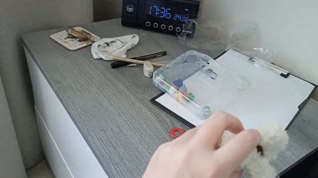 первый вечерний влог