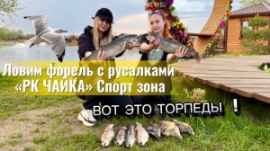 Супер рыбалка на форель «РК Чайка» ! Вот это бешеный клёв на спиннинг