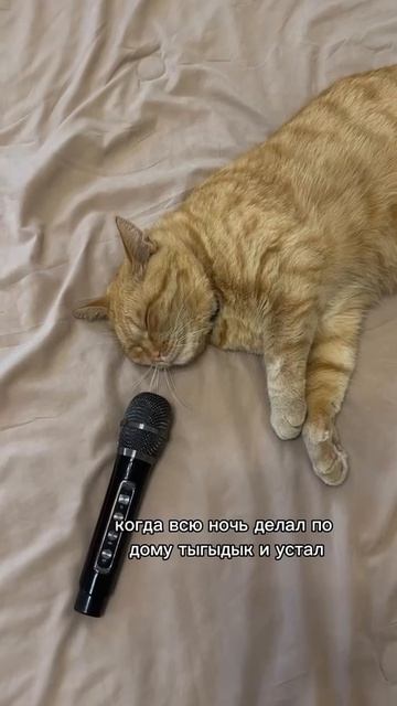 Спокойной ночи))) ...