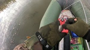 🎣ОКУНЕВЫЙ КОТЕЛ 3🎣fishing#туризм#природа#ловля#рыбалка#щука#ловлящуки#ночевка#Чулым#река#спиннинг