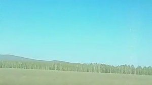 Зелено и красиво!