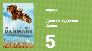 Дикая и чудесная Дания 5 серия (документальный сериал, 2020)