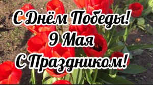 Весеннее цветение орхидей. Поздравляю Всех с Праздником!