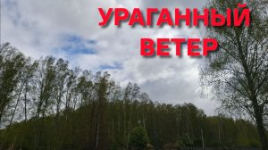 Сегодня 10 мая 2026 года ураганный ветер у нас в области