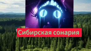 Сибирь в сонарии