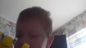 тоботы