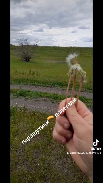1000026333.mp4