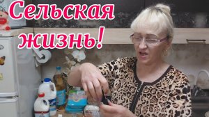 10-05.Покупки.Семена.Рассада.Цыплят перенесла.Ужин.