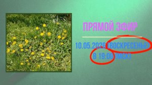 Анонс эфира 10.05.2026