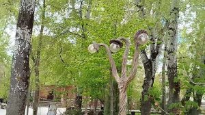 Дневная прогулка по парку Лога/Возвращение домой