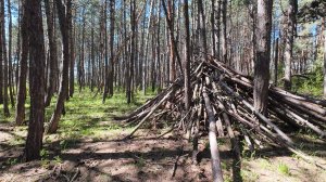 Кисловодск. Потеплело. Городская прогулка по городу и парку на электроскутере. 2 часть.