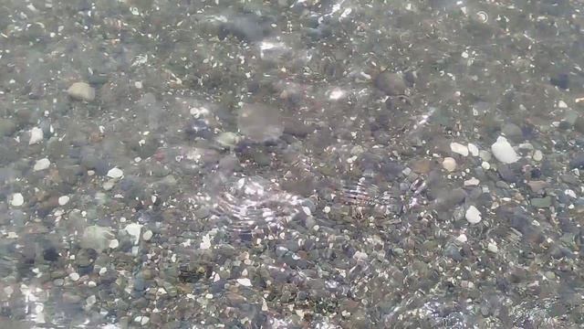 Майское море Абхазии в 2026