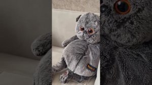 Барсик и больница . часть 4. нас выписывают🥳🐱