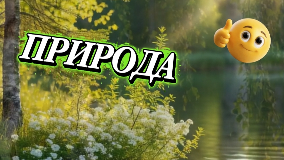 АНТИСТРЕСС ВИДЕО | ЗВУКИ ПРИРОДЫ