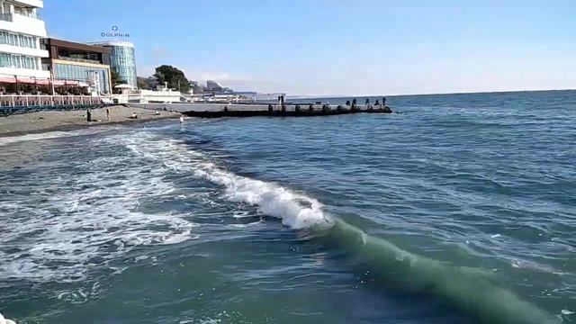 Солнце, море, чайки, 🌊☀пляж, вот что нужно всем сейчас.mp4
