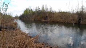карась 10 мая mp4