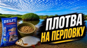 ПЛОТВА КЛЮЕТ НА ПЕРЛОВКУ. ПРОВЕРКА ЧЕСНОЧНОЙ ПРИКОРМКИ НА РЕКЕ ИШИМ.