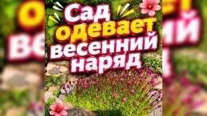 Сад одевает весенний наряд