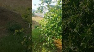 Град прошел в Калаче-наДону