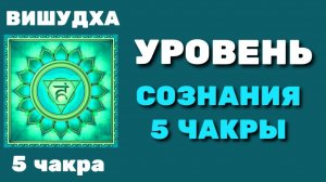 5 ЧАКРА ВИЩУДХА. УРОВЕНЬ СОЗНАНИЯ. ЗА ЧТО ОТВЕЧАЕТ. Школа экстрасенсорики