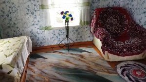 Из курятника в нарядную комнату