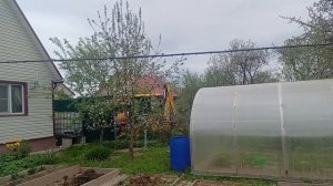 У соседей по даче работа кипит.