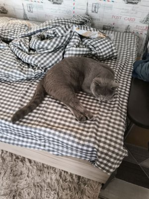 лал