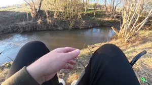 Килограммовый Лещ даёт жару. Продолжаем рыбачить на диком ручье