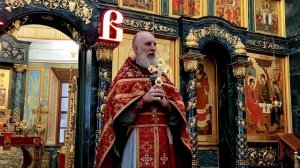 Слово митрофорного прот. Николая Малеты в Неделю 5-ю по Пасхе, о самаряныне,  10.05.26