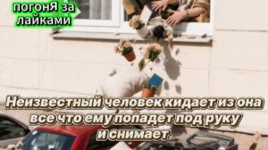 Молча кидает из окна высотки прямо на машины всё что попало под руку и набирает просмотры