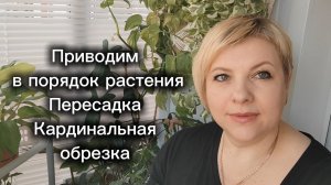 Приводим в порядок растения | Пересадка и Кардинальная обрезка