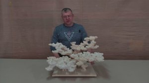 ДФ-407 Декорация из биокерамики для морского аквариума.