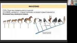 ЭВОЛЮЦИЯ 3 (Микро и макроэволюция , прогресс и регресс