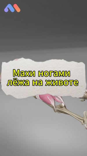 Махи ногами лёжа на животе