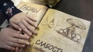 Билл Шифр существует?