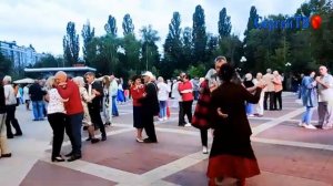 Льву нужна своя львица..... 10.05.26.