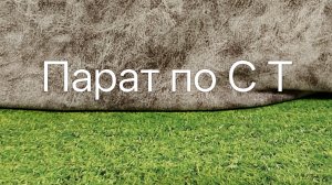 Парат по Скибиди туалет ( Моя лего анимация )